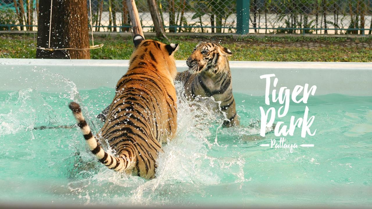 Amazing Tropical Family Thai Style Villa All Costs Included Pattaya Ngoại thất bức ảnh